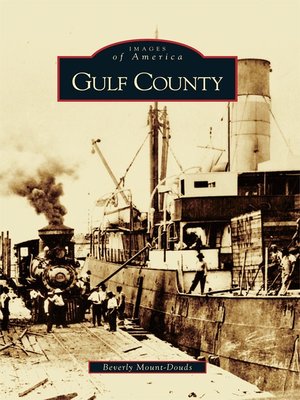 cover image of Gulf County